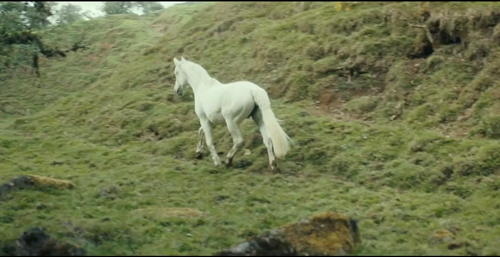 - Official U.S. Trailer